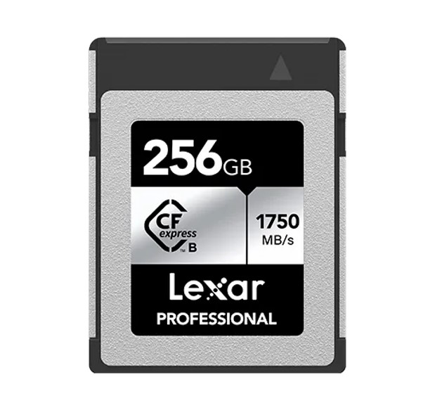 Fmlsd Silverseri 256g