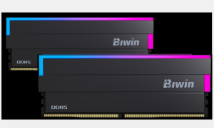 Bw dw100 32g cl36 b
