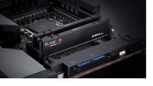 Megs f5 6000 3636 fx 1