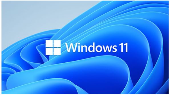 Sms win11prows64