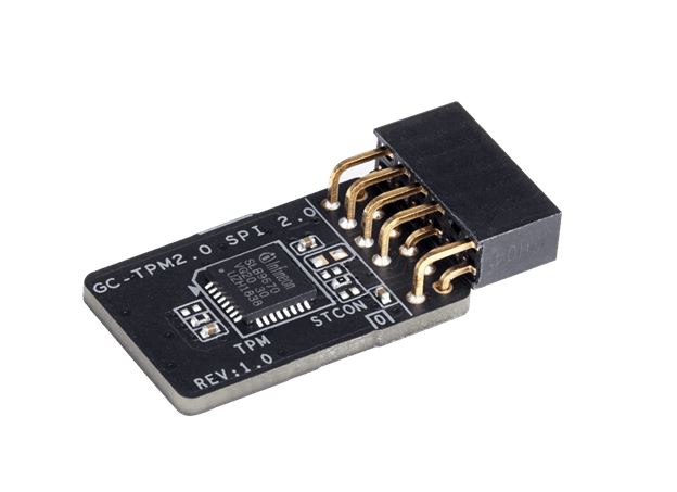 Mbg tpm2.0 spiv2