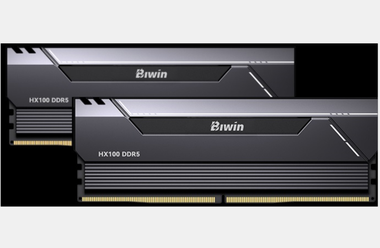 Bw hx100 32g cl36 b