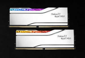 Megs f5 3060 96g tr5ns