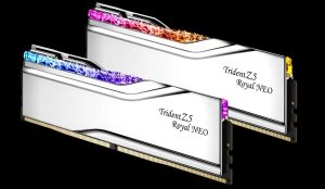 MEGS F5TR5N 2836 32G